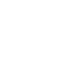Aerosol Spray Paint